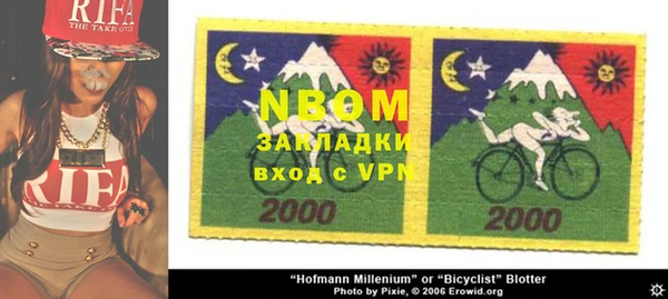 PSILOCYBIN Аркадак